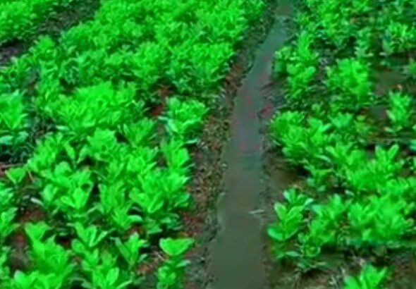 536022303_1262006642622065_8646246588378853070_n